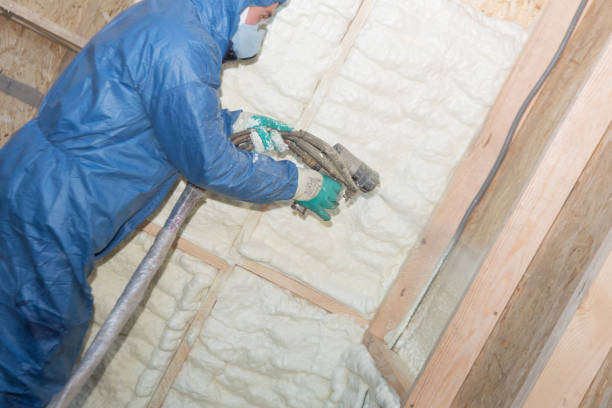 Best Eco-Friendly or Green Insulation Solutions  in Coldstream, KY